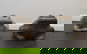 item-210373009=2