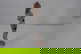 item-210373015=10