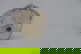 item-210373015=12