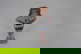 item-210373015=4