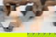 item-210373291=9