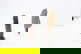 item-210373293=7