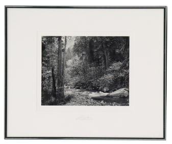 Ansel Adams (1902-1984) Yosemite Special Edition Photograph "Tenaya Creek, Dogwood. Spring Rain"