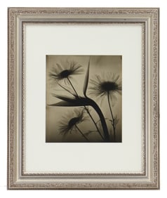 Bird of Paradise and Daisies Floral X-Ray Photograph