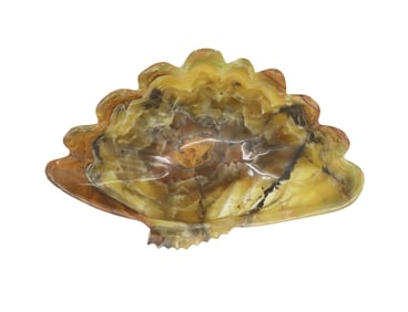 Carved Alabaster Seashell Shaped Bowl