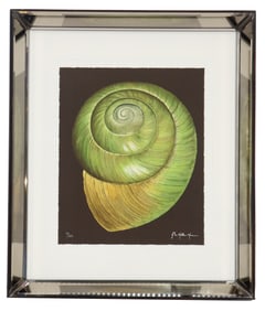 John Matthew Moore (Born 1963) American, Numbered Green Nautilus Shell Serigraph
