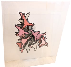 Abstract Lacquered Foam Sculpture in Large Lucite Case
