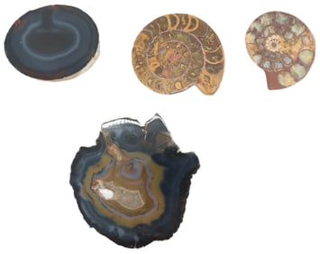 (4) Geological Specimens