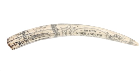 Reproduction Scrimshaw Walrus Tusk, "The Gam"