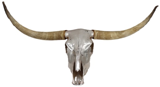 Silver Leaf Longhorn Skull