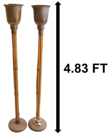 (2) Rattan and Brass Floor Lamps