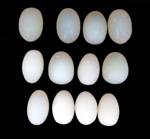 French Opaline Eggs