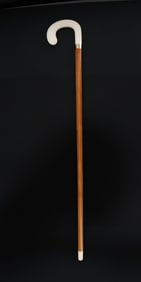 Wooden Cane with Organic Bone Tip and Handle