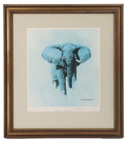 David Shepherd CBE (1931–2017) British, Wildlife Lithograph Print "Sketch for Painting-- African