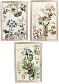 (3) J. Buchert Signed Botanical Prints