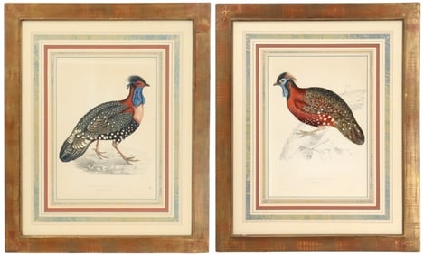 (2) John Gould (1804-1881), Pair of British Hand Colored Lithographs of a Tragopan Hastings II and a