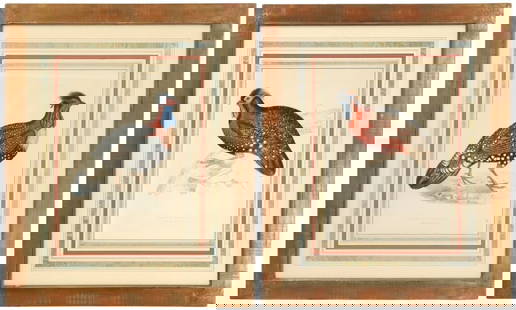 (2) John Gould (1804-1881), Pair of British Hand Colored Lithographs of a Tragopan Hastings II and a: (2) John Gould (1804-1881), Pair of British Hand Colored Lithographs of a Tragopan Hastings II and a Tragopan Stayrus. Condition as pictured. Overall Size: 27 x 33 in. Sight Size
