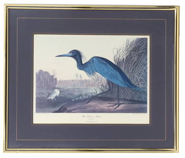 John James Audubon (1785–1851) French/American, Color Engraving Print of Blue Crane or Heron: John James Audubon (1785&ndash;1851) French/American, Color Engraving Print of Blue Crane or Heron.&nbsp; Overall Size: 31 1/2 x 37&nbsp;1/2 in.Sight Size: 19 x 24 1/4 in. &nbsp; John James Audubon (1