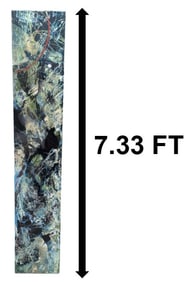 Paul Tamanian (Born 1954) American, Mixed Media on Aluminum