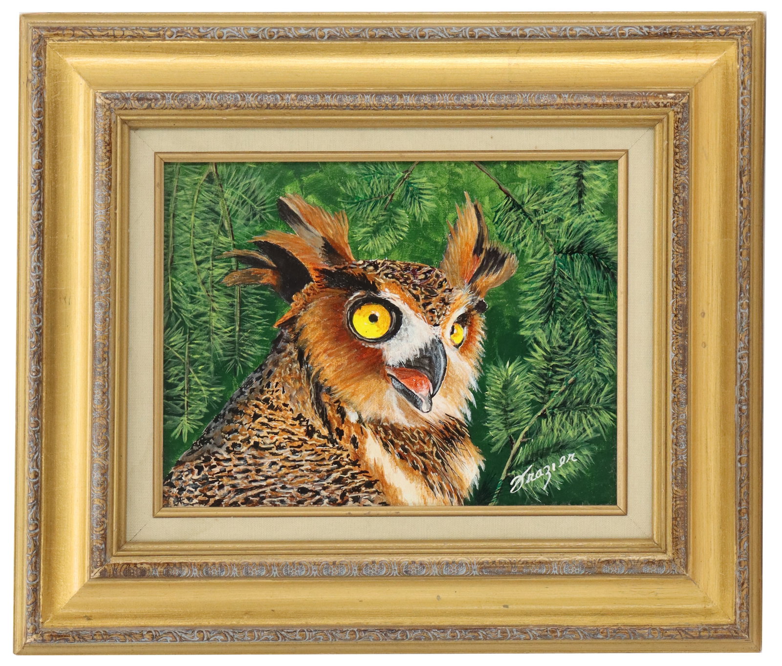 Signed Frazier (20th Century) American, Oil on Canvas: Signed Frazier (20th Century) American, Oil on Canvas. Signed Frazier lower right. Oil on canvas portrait of a rather surprised barn owl against a backdrop of pine needles. Framed. Overall Size: 