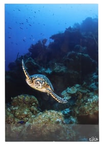 Craig Dietrich (20th/21st Century) American, Digital Print on Aluminum