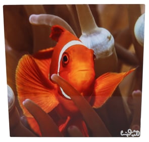 Craig Dietrich (20th/21st Century) American, Digital Print on Aluminum