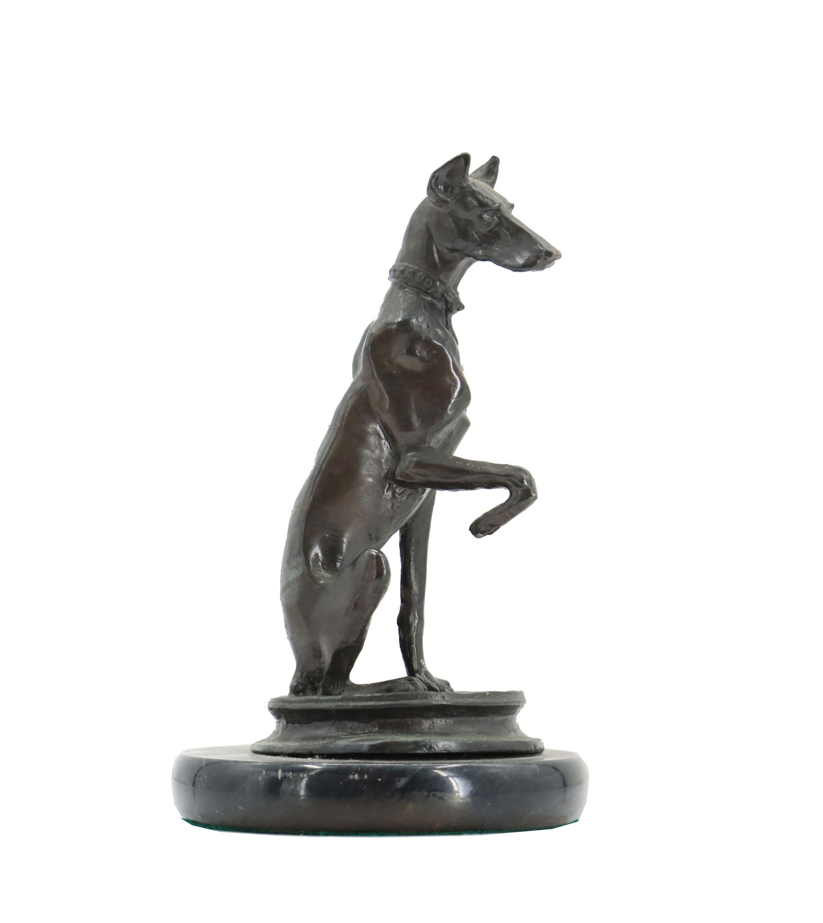 After Antoine-Louis Barye (1795-1875) French, Bronze Whippet Statue: After Antoine-Louis Barye (1795-1875) French, Bronze Whippet Statue. The loyal pup sits at attention with one paw up, a black marble base underneath the bronze one. Signed on the bronze base. Co
