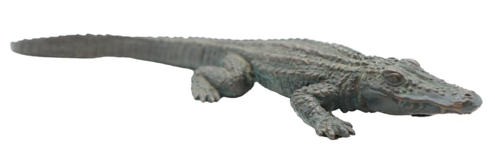 Dian Weeks (20th/21st Century) American, Bronze Sculpture of an Alligator