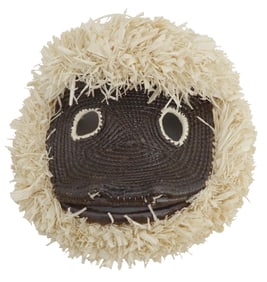 Panamanian Wounaan Embera Hand Woven Lion Faced Macaque Mask