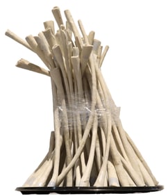 Collection of Ceramic Bones