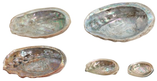 Collection of Five Vintage Abalone Shells