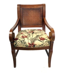 Regency Revival Mahogany Armchair with Tropical Upholstery and Wicker Back
