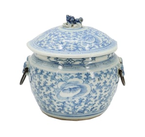 Chinese Blue and White Apothecary Jar