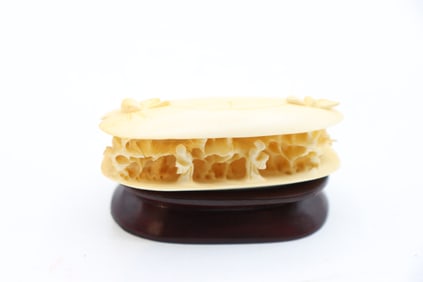 Chinese Clam Shell Netsuke