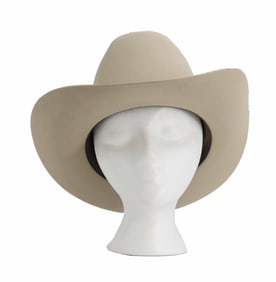 Stetson Rancher Felt Hat with Pheasant Feathers and Metal Hatpin in Original Box