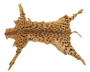 Flat Tanned Serval Pelt