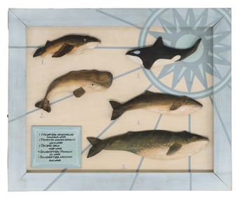 Oil on Wood Hand Painted and Carved Whale Species Plaque