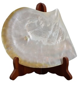Vintage Abalone Shell Dish