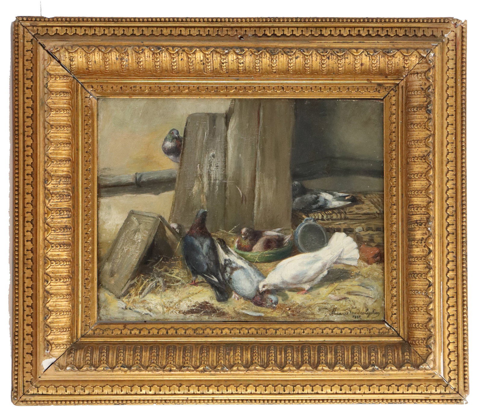 Marie Van Den Eycken (19th Century) Belgian, Oil on Board "Pigeons in the Stall" (1 of 16)
