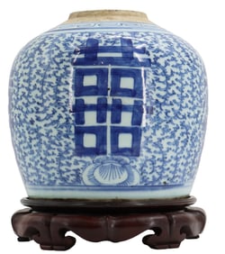 Chinese Blue and White Porcelain Ginger Jar