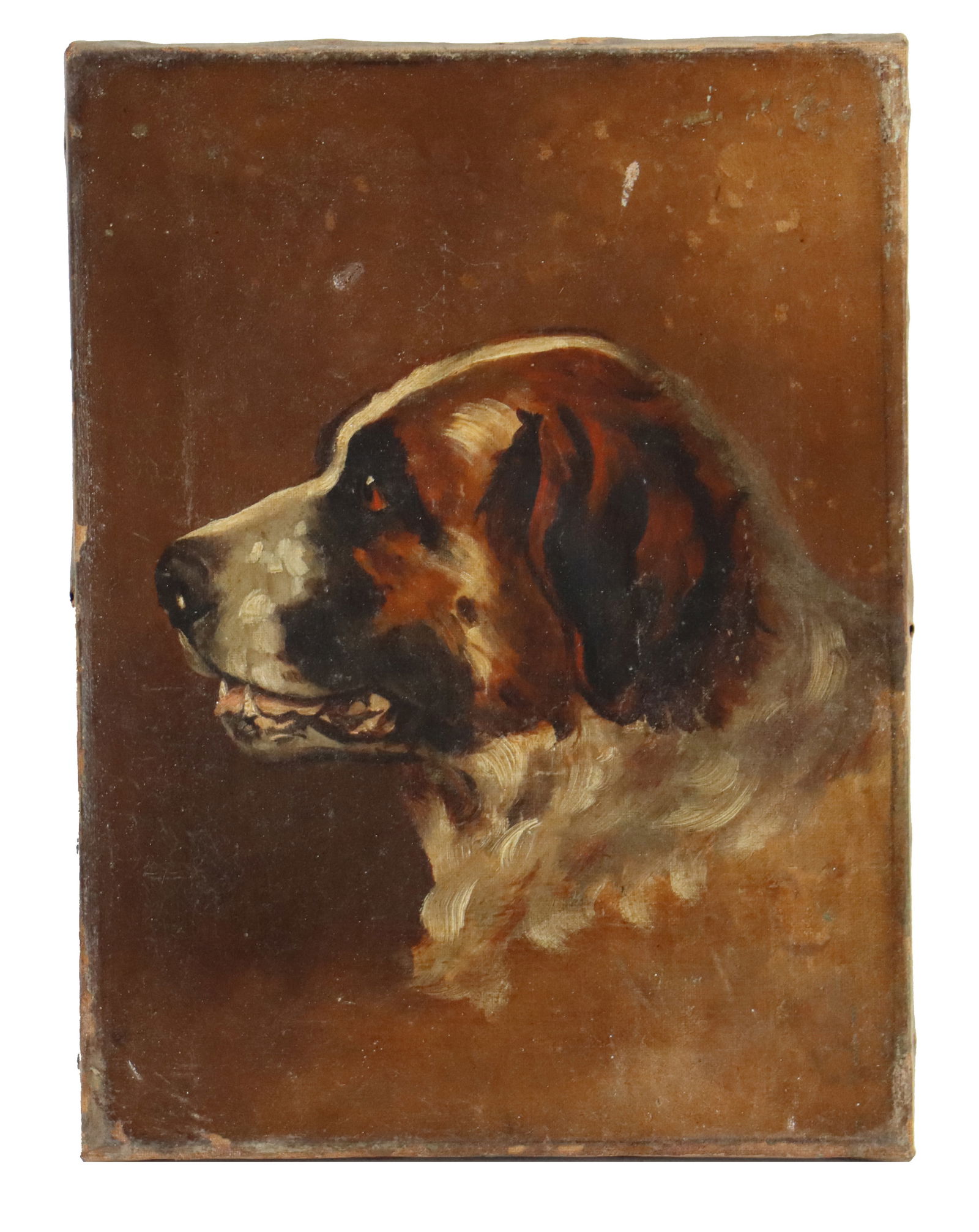19th Century Oil on Canvas Animal Portrait of St. Bernard (1 of 10)