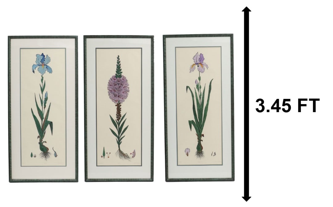 (3) Dan Mitra (Born 1951) Romanian/American, Limited Edition Botanical Lithographs (1 of 20)