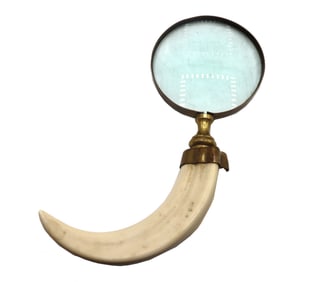 Antique Brass Magnifying Glass with Boar's Tusk Handle
