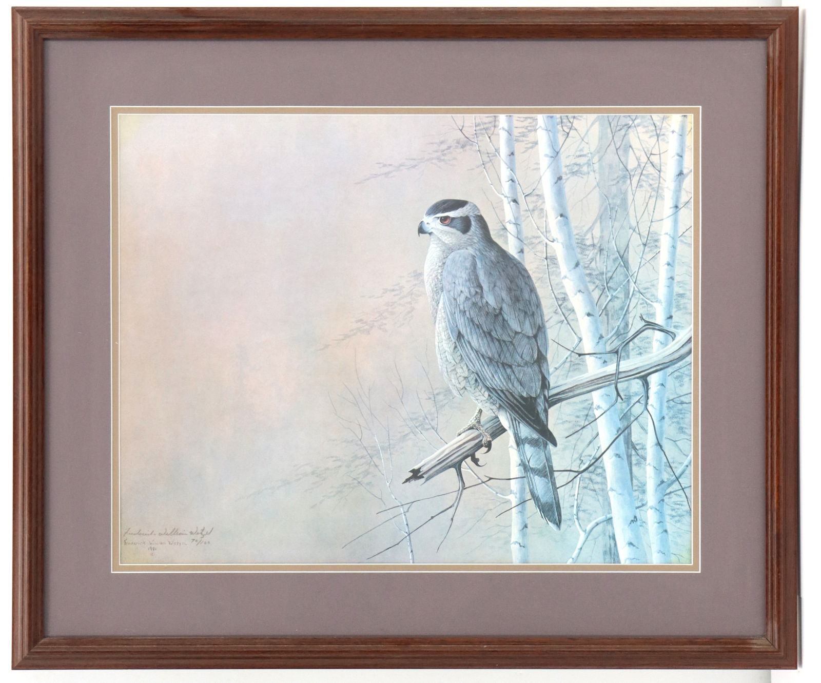 Frederick Wetzel (Born 1943) American, Signed and Numbered Ornithological Giclee (1 of 5)