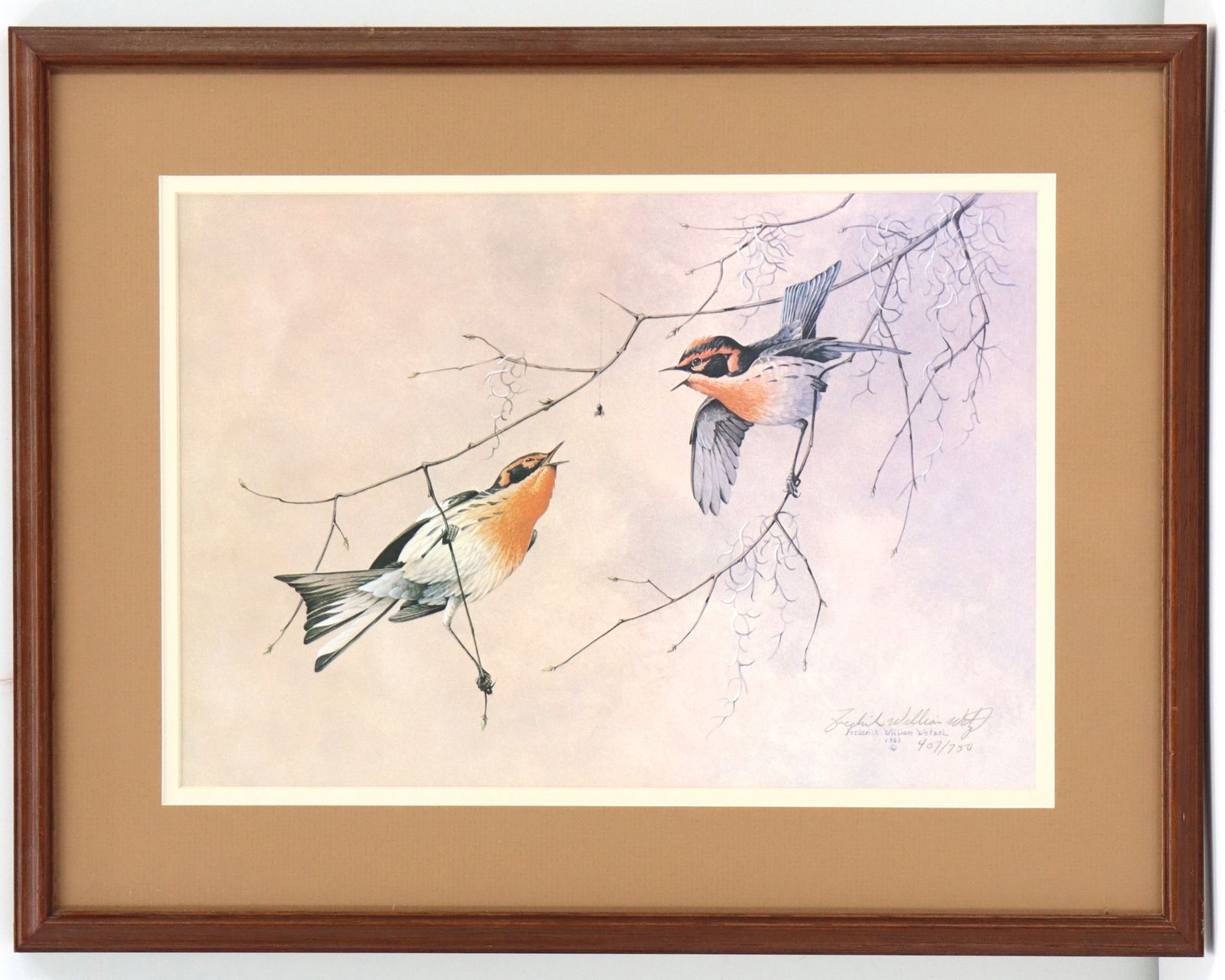 Frederick Wetzel (Born 1943) American, Signed and Numbered Ornithological Giclee: Frederick Wetzel (Born 1943) American, Signed and Numbered Ornithological Giclee. Depicts two warblers on a limb vying to see who will get to eat a spider first. Signature and original printing date o