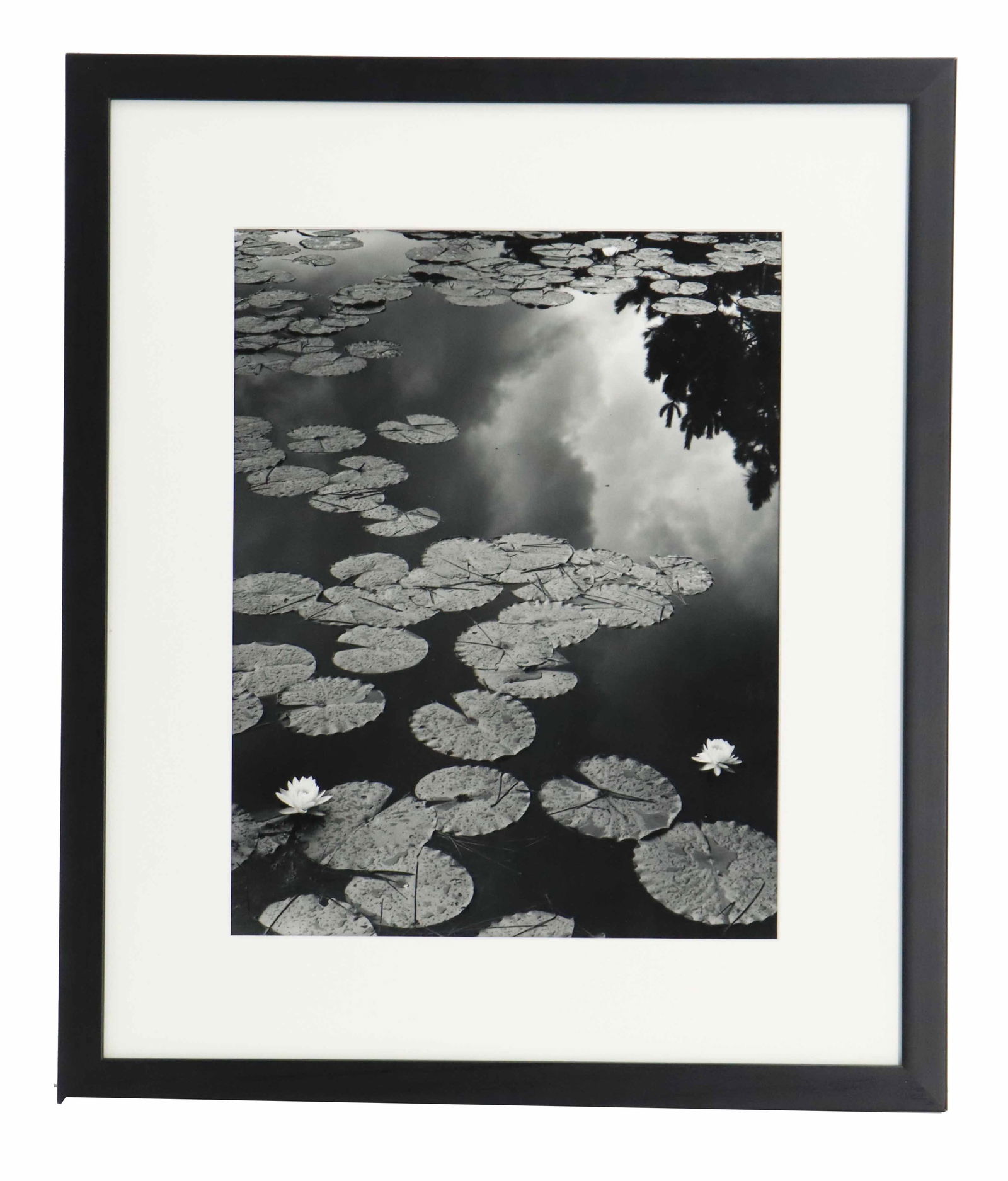 Vincent Mariano (Born 1958) American, Black and White Toned Silver Gelatin Print (1 of 8)
