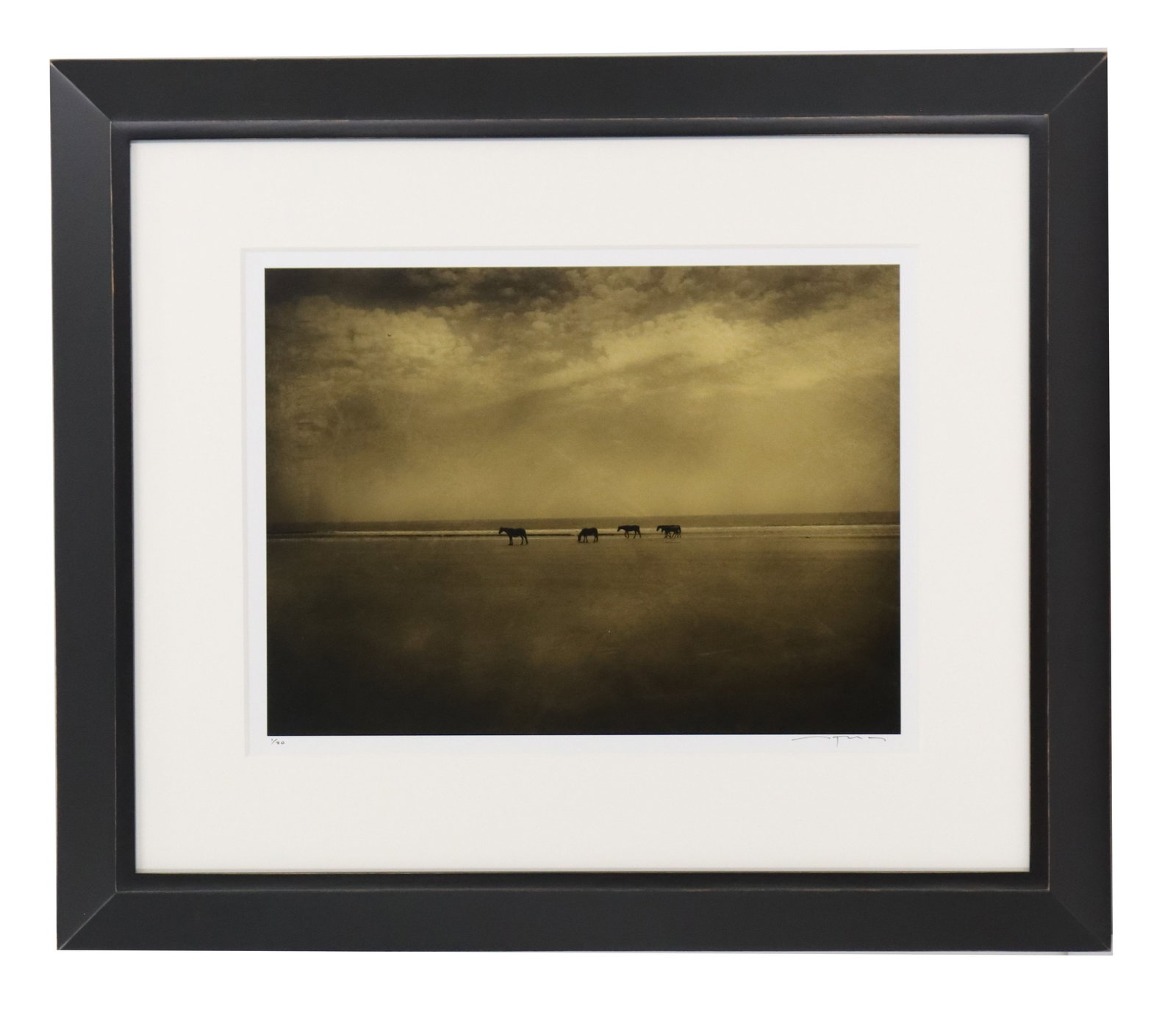 Jack Spencer (Born 1951) American, Gelatin Silver Print "Horses/Cumbeland Island":  Jack Spencer (born 1951) American, Gelatin Silver Print "Horses/Cumbeland Island". Sepia-toned landscape photograph by Tillie Tice featuring a group of horses silhouetted ag