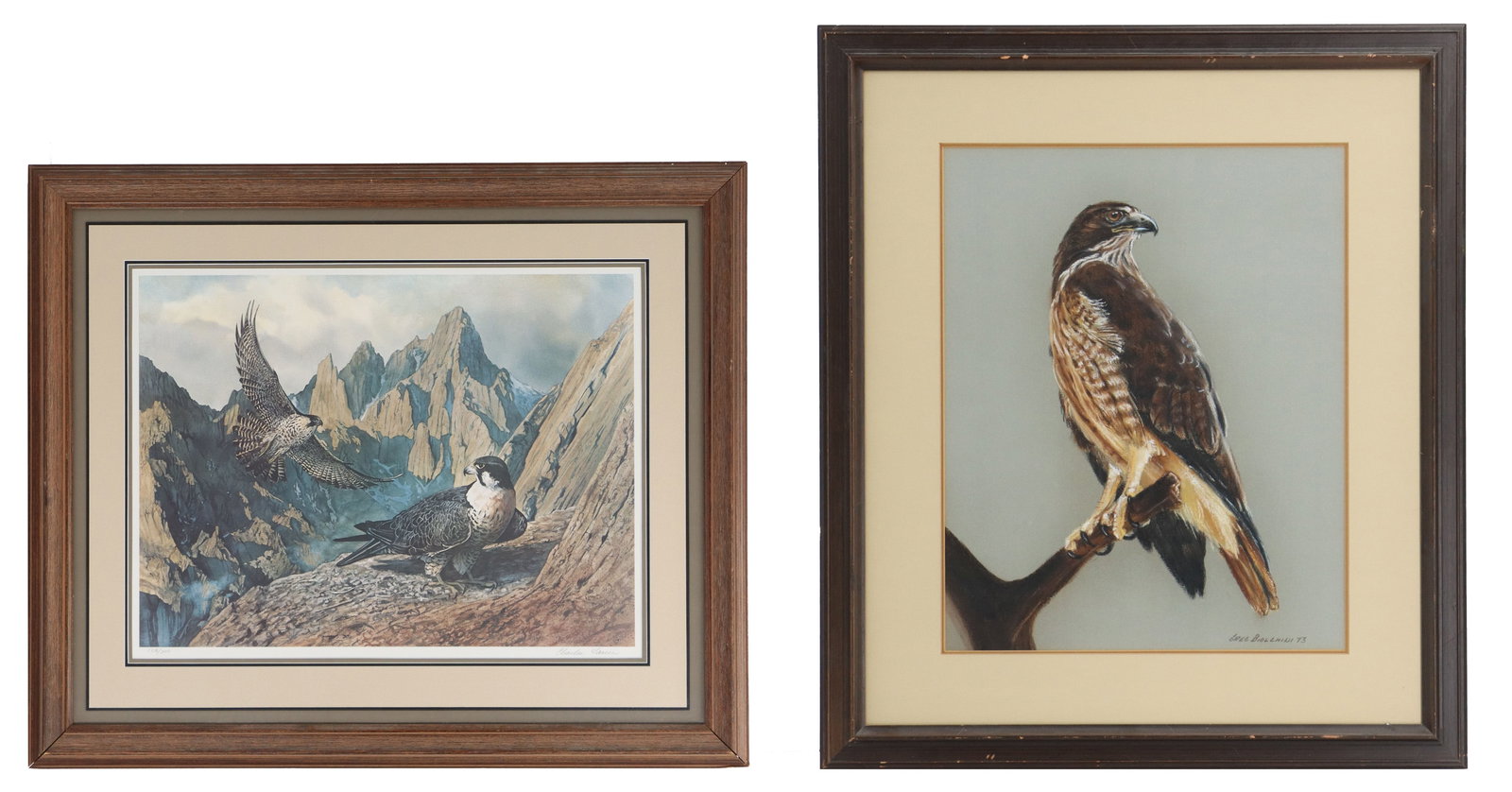 Greg Biolchini (Born 1948) & Charles Gause (Born 1955) American, Bird Pastel and Print (1 of 18)