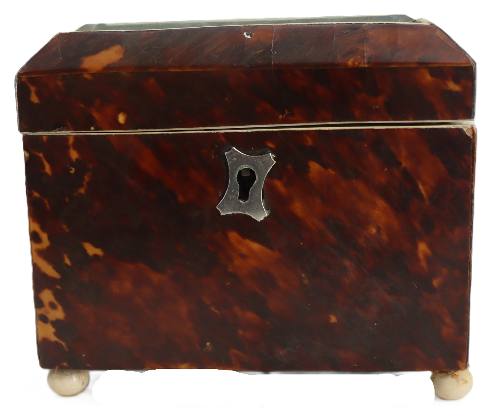 19th Century English Tea Cady with Tortoiseshell Veneer (1 of 13)