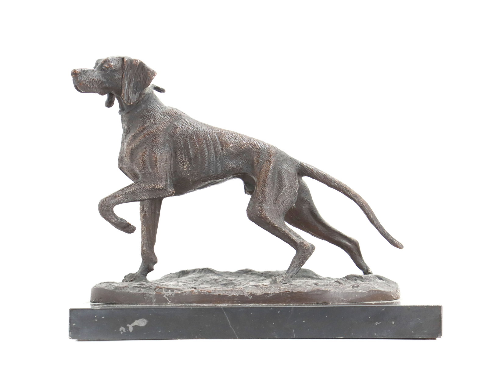 David Geenty (21st Century) British, Cast Bronze Sculpture of English Pointer: David Geenty (21st Century) British, Cast Bronze Sculpture of English Pointer. Cast bronze sculpture of a pointer dog in a classic pointing stance, mounted on a rectangular black marble base. Siz